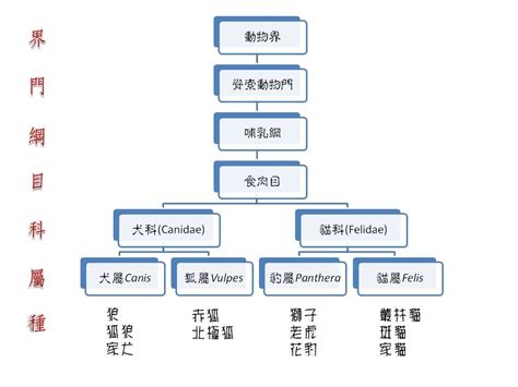 陽光 英文名